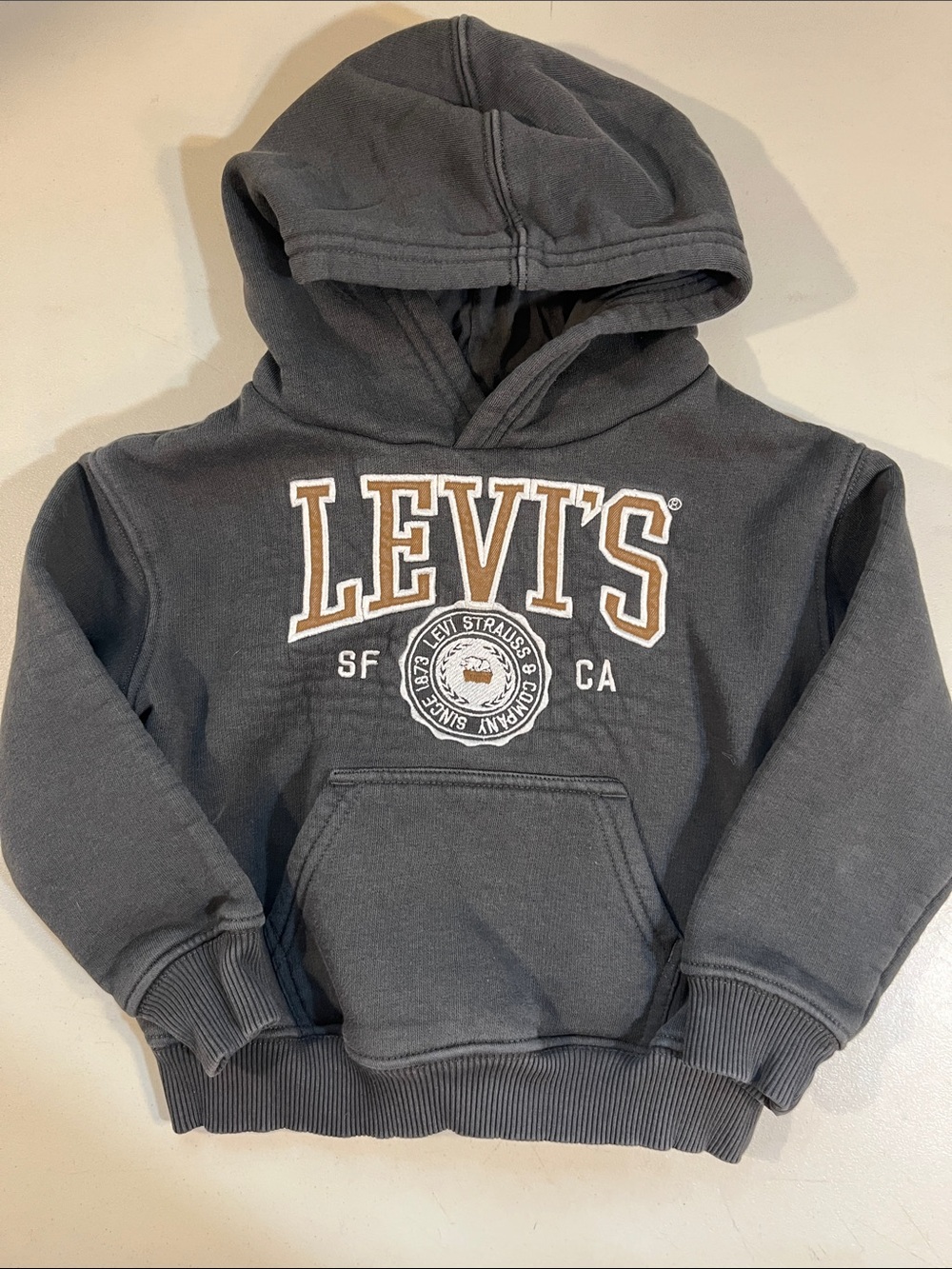 Levi's Kids Dark Gray Hooded Sweatshirt with Tan Logo